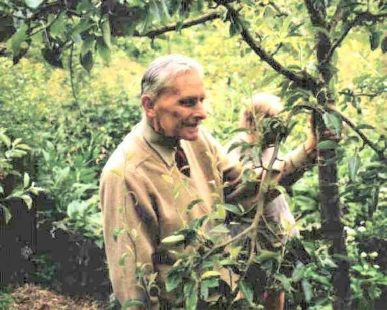 Robert Hart : Les 7 strates qui révolutionnent le jardin