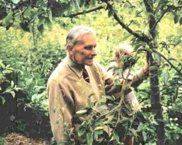 Robert Hart : Les 7 strates qui révolutionnent le jardin