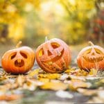 Citrouilles d'halloween