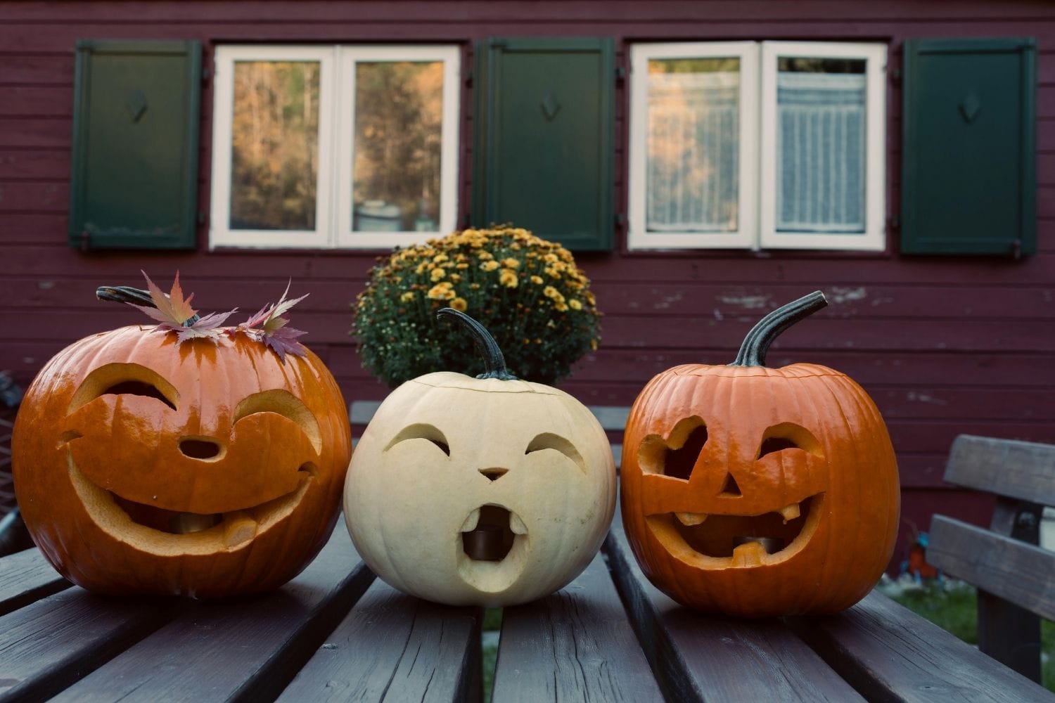 Citrouilles d'halloween creusées