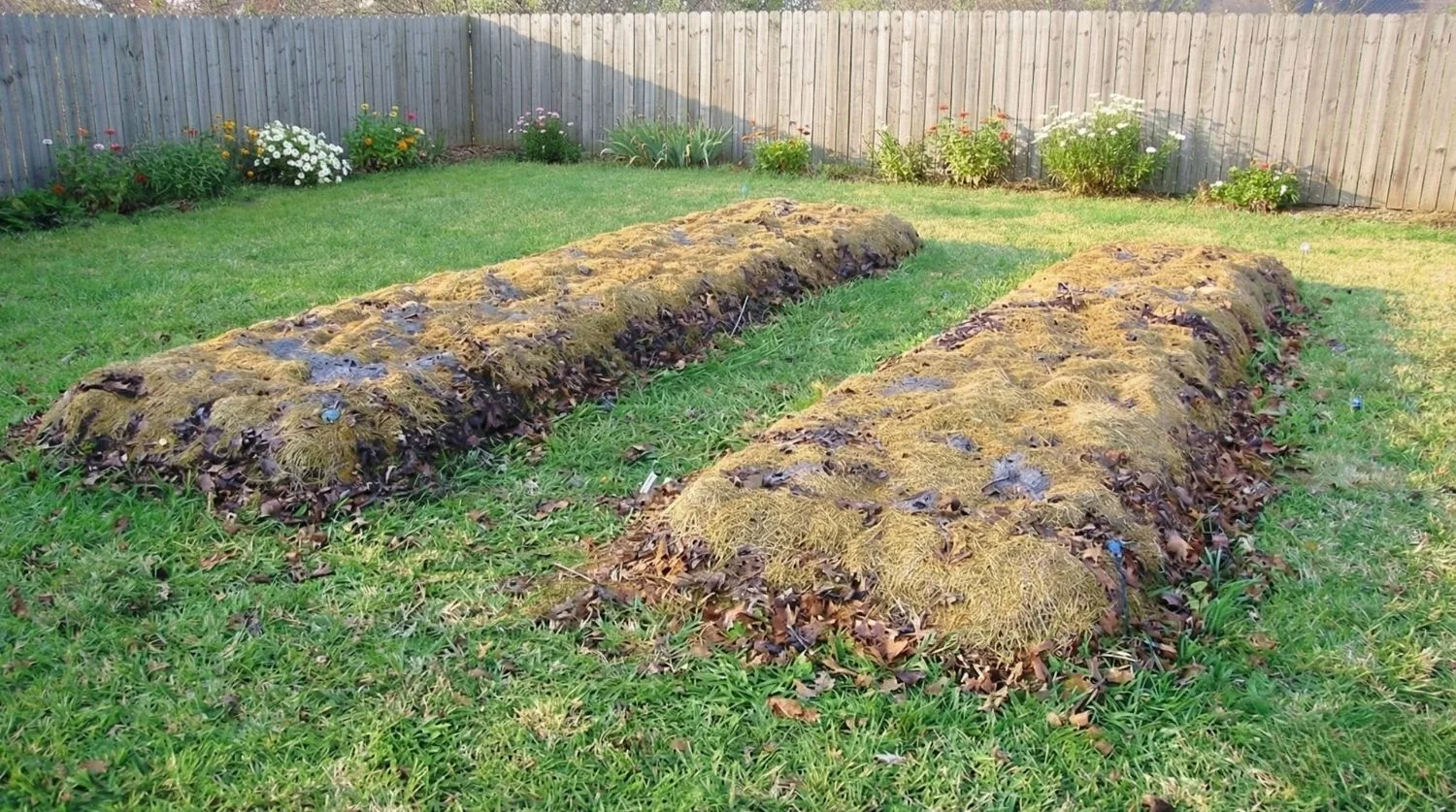 Potager réalisé en culture en lasagne