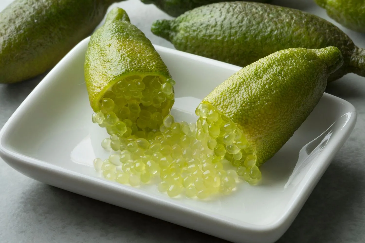 Citron caviar : Le guide pour en récolter chez soi