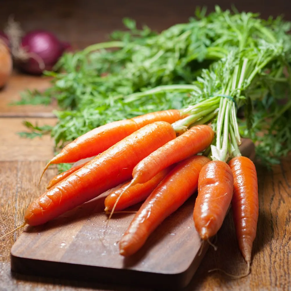 Calendrier de semis et plantation pour les carottes