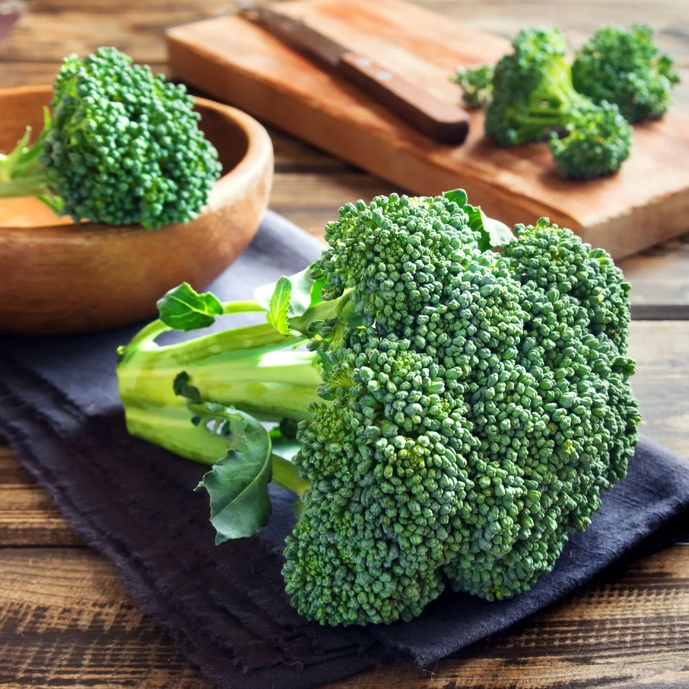 Calendrier de semis et plantation pour le chou brocoli