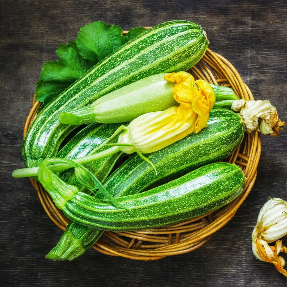 Calendrier de plantation et de récolte pour les courgettes