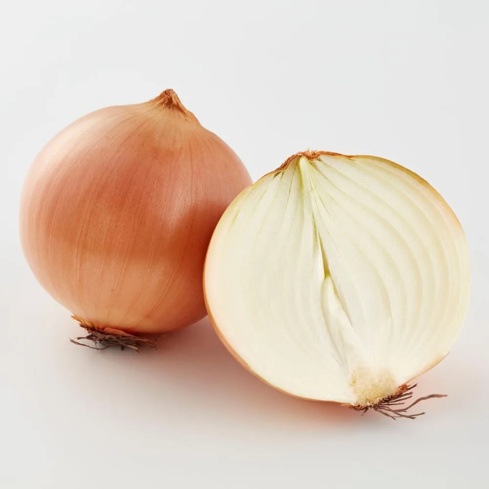 Calendrier de plantation et récolte pour l'oignon