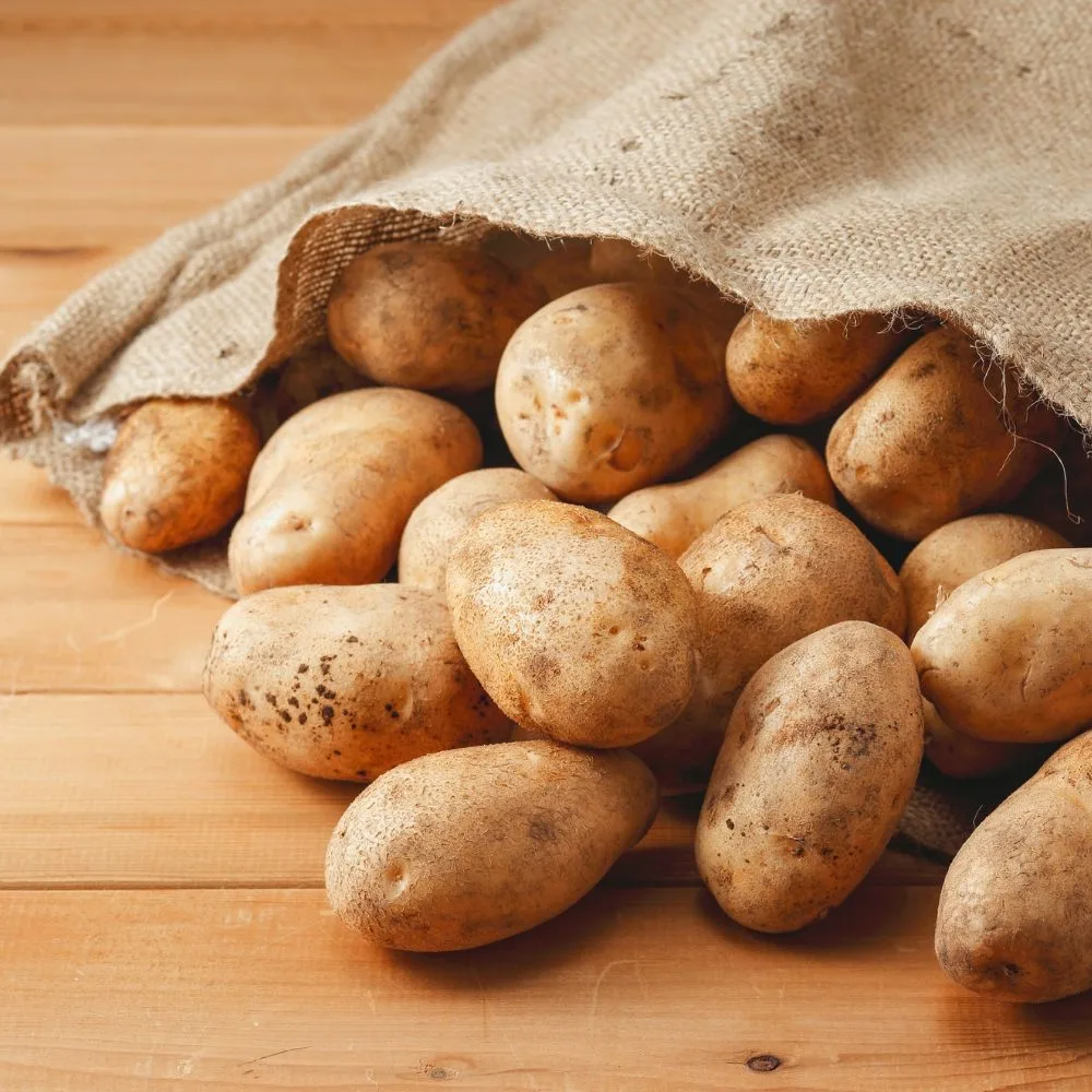 Calendrier de semis et plantation pour les pommes de terre