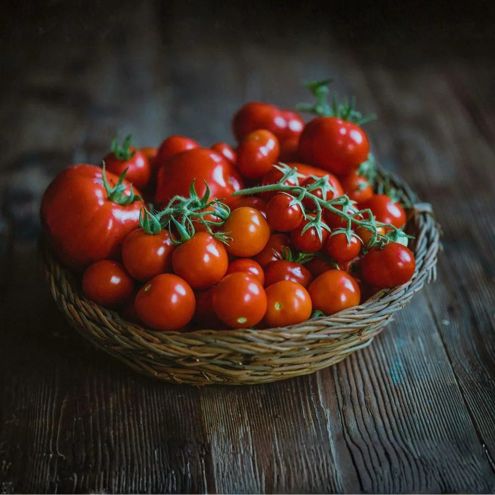 Calendrier de semis et plantation pour les tomates