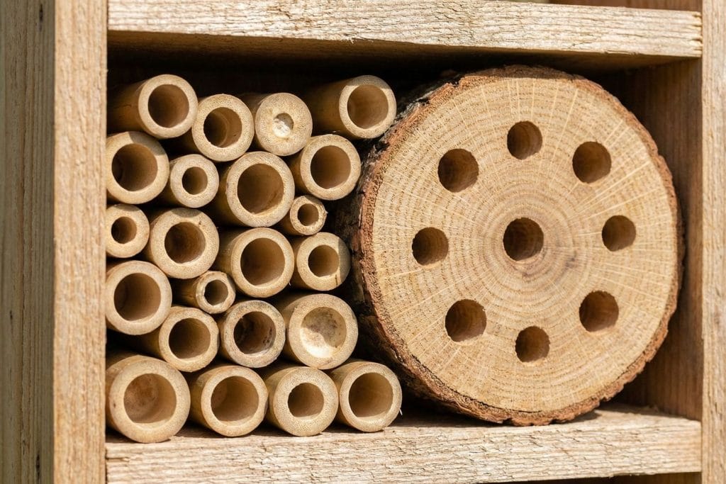Gros plan sur des tiges de bambou coupées et une bûche de bois dur percée de trous pour les abeilles solitaires