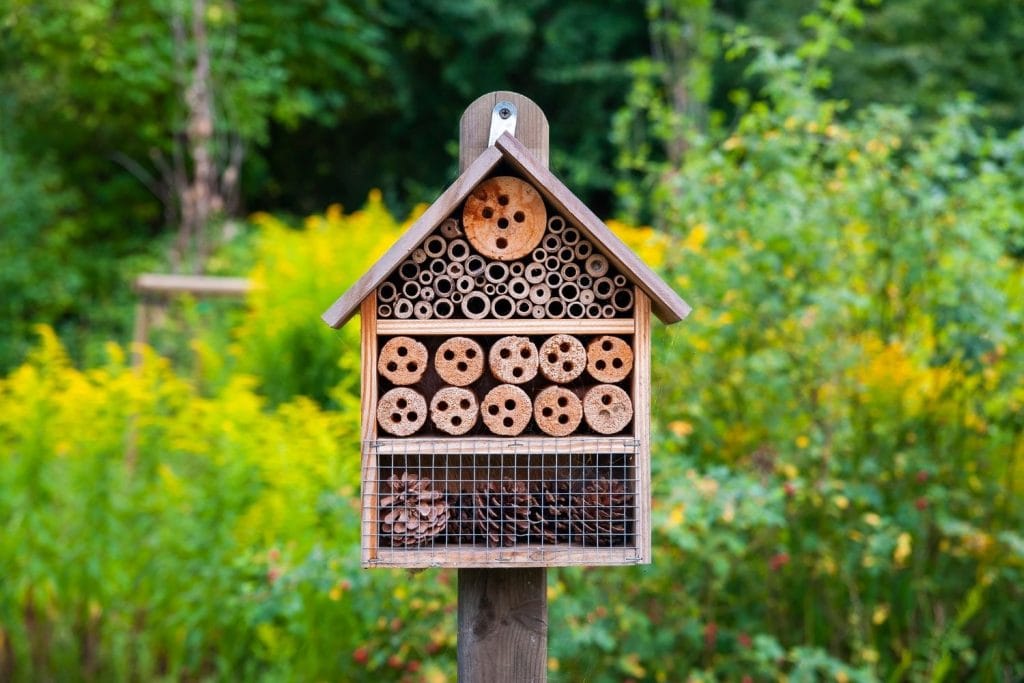 hôtel à insectes dans un jardin