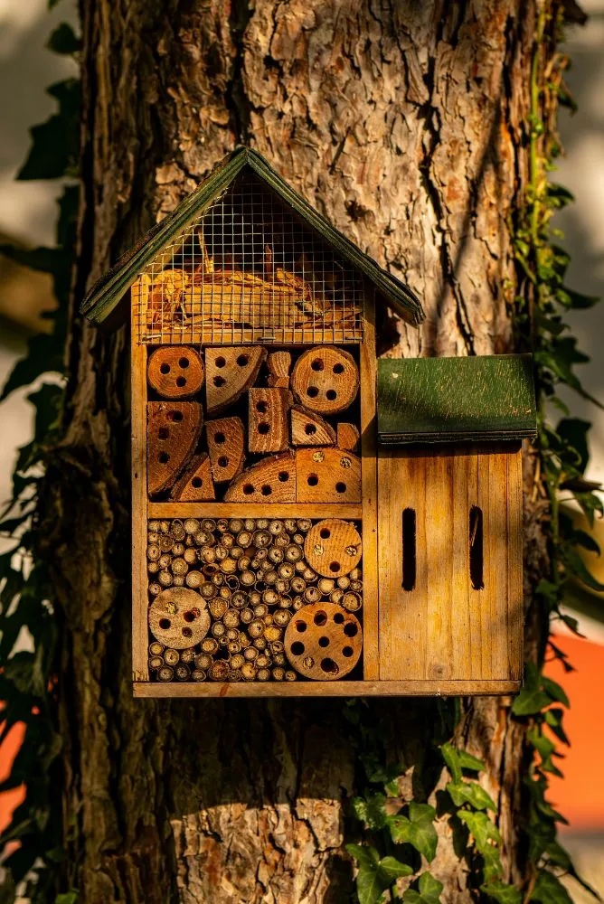 hôtel à insectes sur un arbre