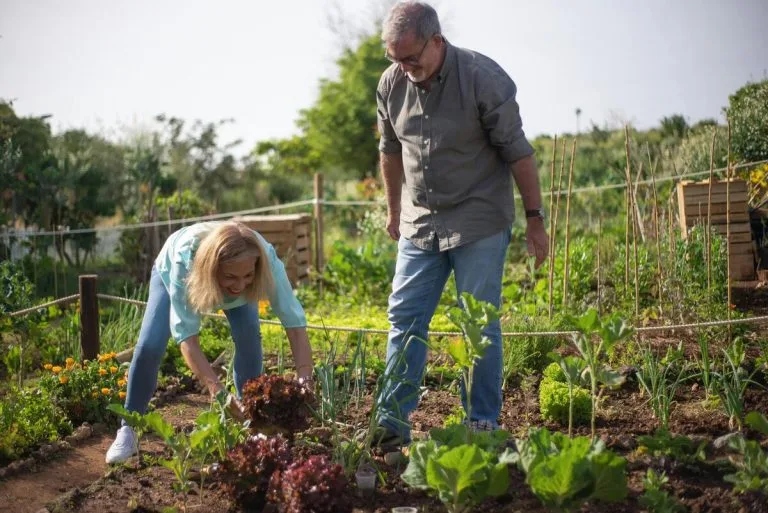 Avoir un jardin autonome