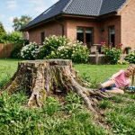 Pourquoi retirer une souche d'arbre
