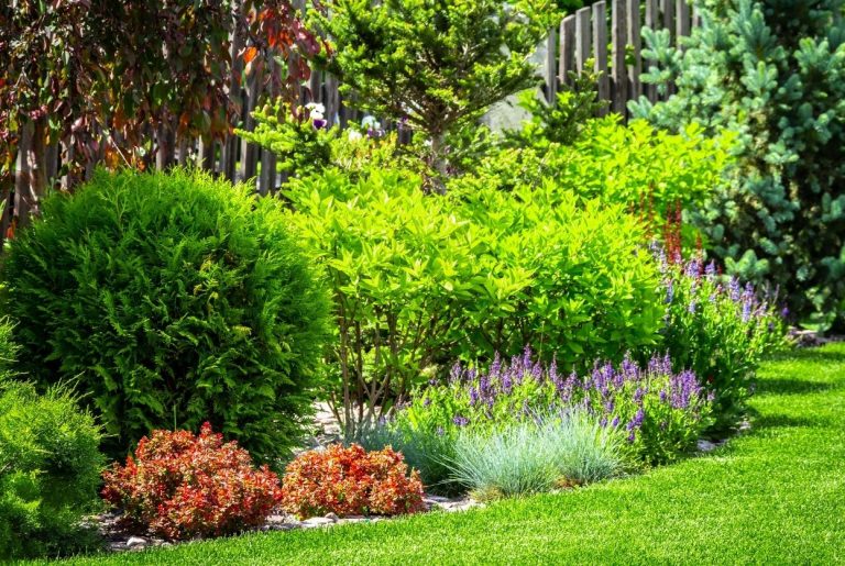 Shockgarden.com