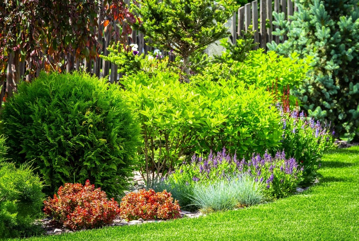 Shockgarden.com