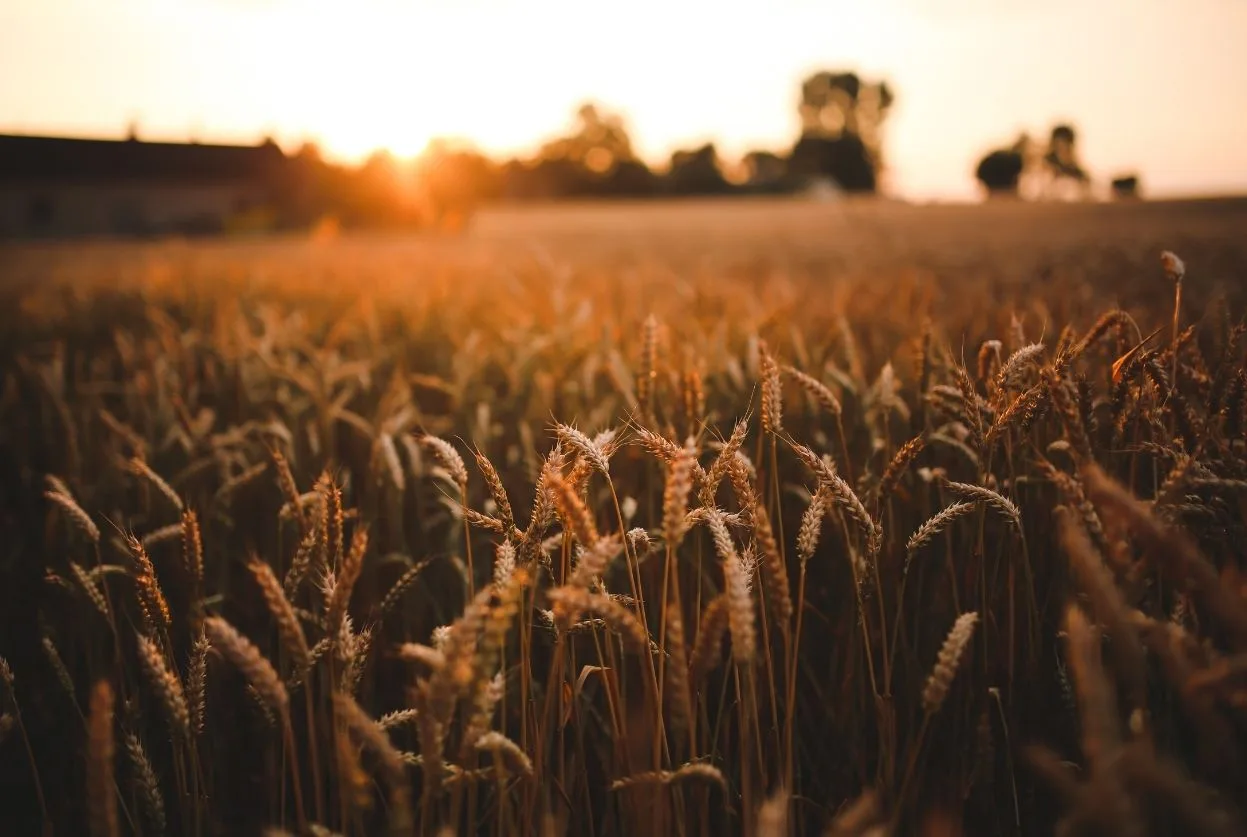 Agriconvivial (ACE) : Le forum agricole qui change tout