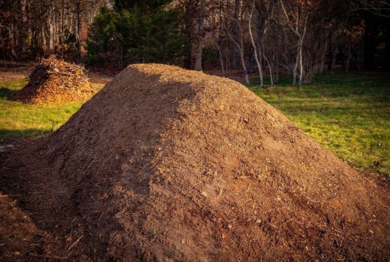 Butte de permaculture