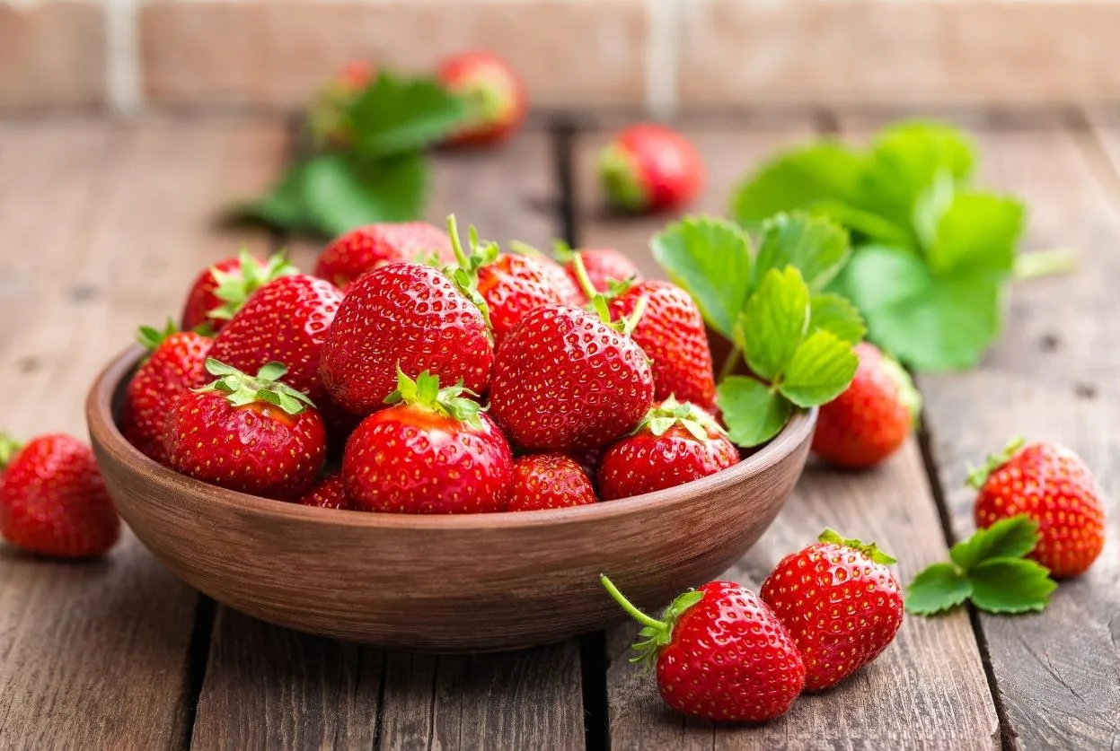 fraises mara des bois