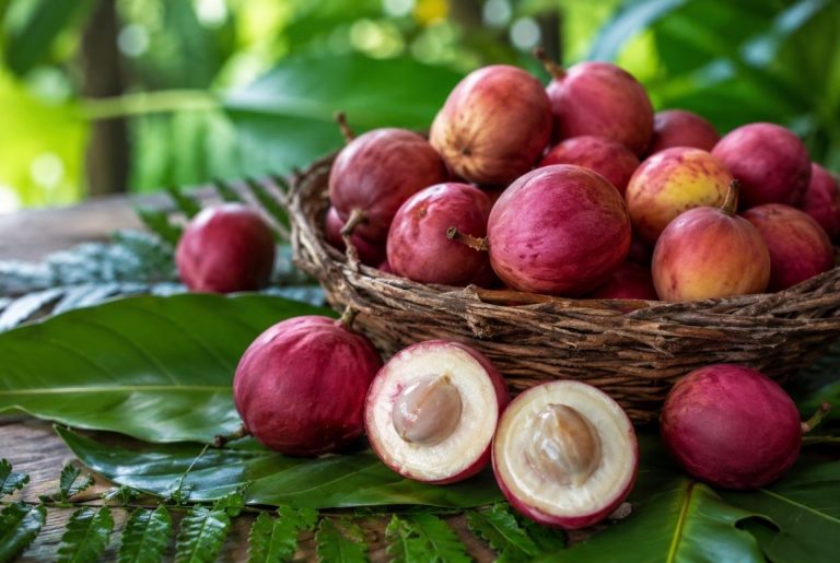 fruit en i icaque
