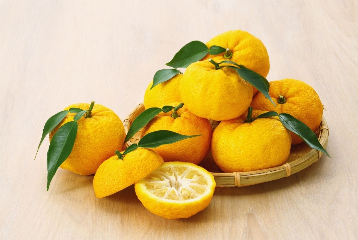 Yuzu : tout ce qu'il faut savoir sur cet agrume