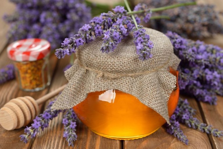 Bienfaits du miel de lavande : Vertus, dosage et astuces