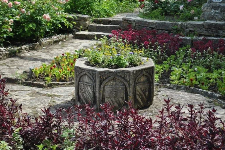 Création de jardin