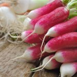 Radis : Culture, variétés et bienfaits