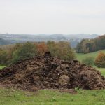 Fumier au potager : Lequel choisir et savoir l'utiliser
