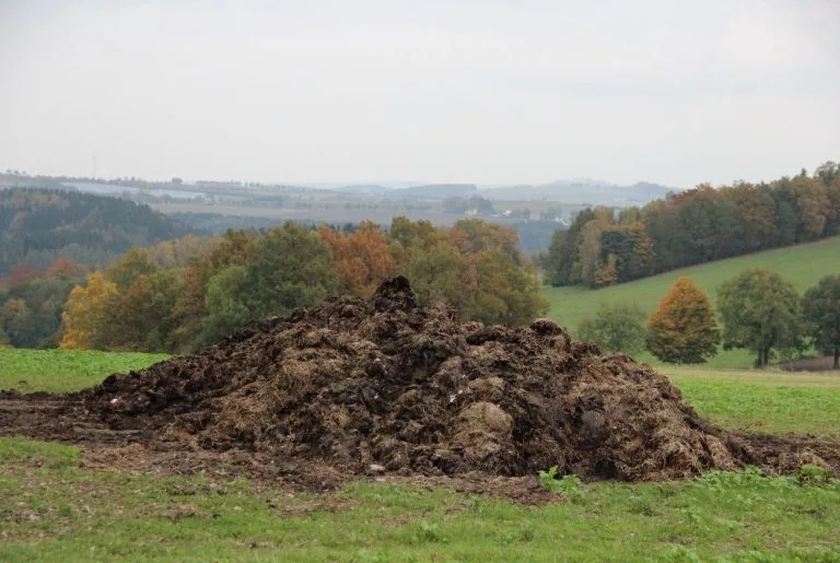 Fumier au potager : Lequel choisir et savoir l'utiliser