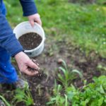 Engrais naturel : 14 solutions comparées et bien dosées