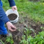 Engrais naturel : 14 solutions comparées et bien dosées