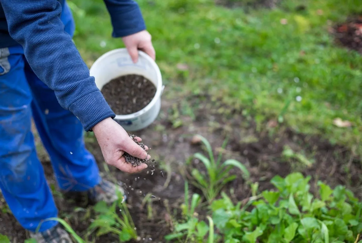 Engrais naturel : 14 solutions comparées et bien dosées