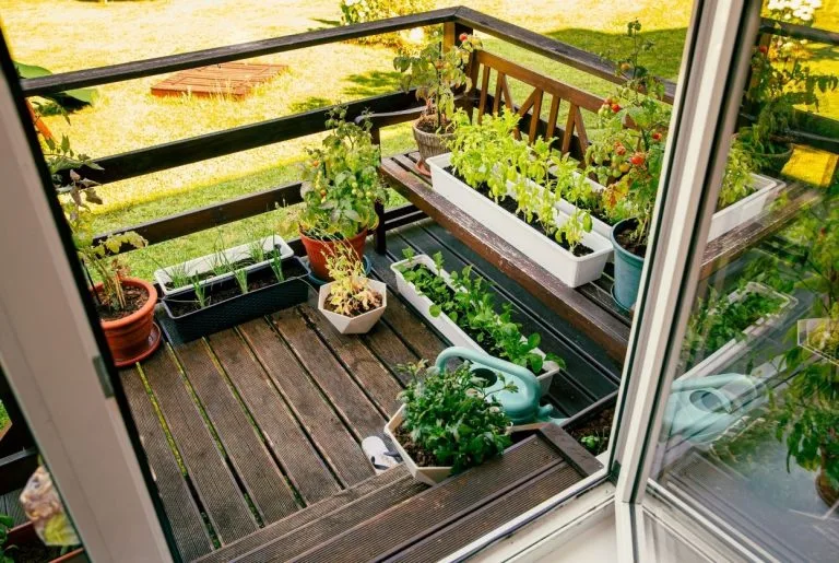 Tout savoir pour réussir la culture des plantes en pot