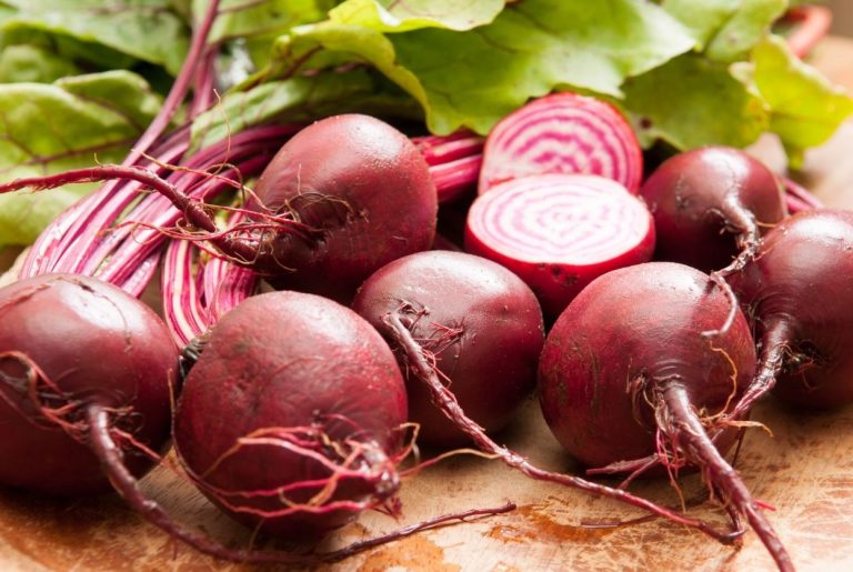 Betterave Chioggia : culture, cuisson et recettes