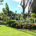 élagage arbre Yvelines