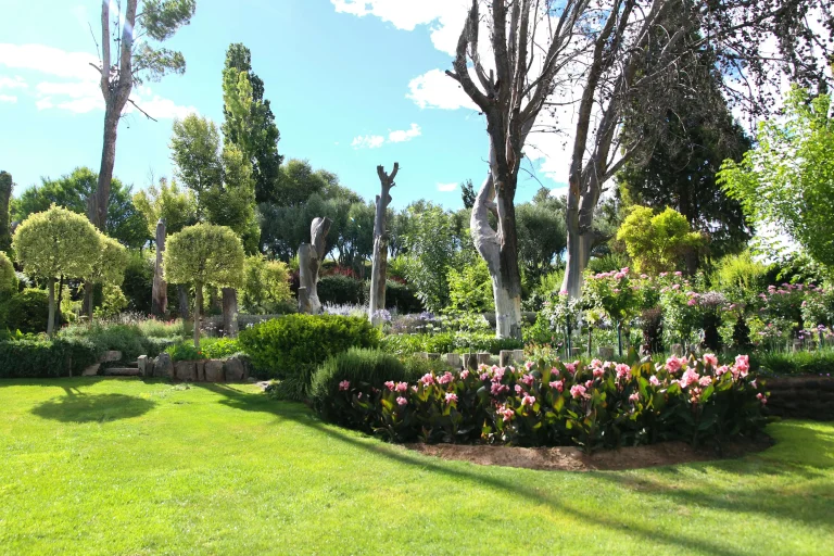 élagage arbre Yvelines