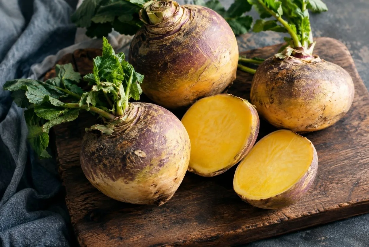 rutabaga entier et coupé sur planche en bois, chair jaune vif