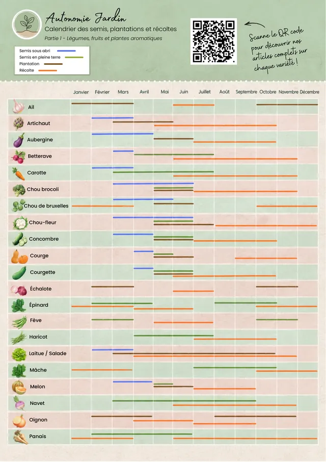 Calendrier du potager mois par mois avec les périodes de semis, plantation et récolte