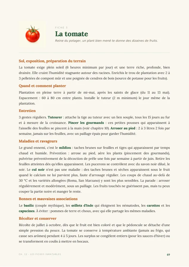 Fiche de culture de la tomate dans le guide