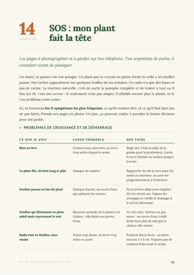 Tableau des symptômes du potager avec leur cause probable et que faire