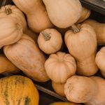 Conserver les courges tout l'hiver : Les 5 bons gestes