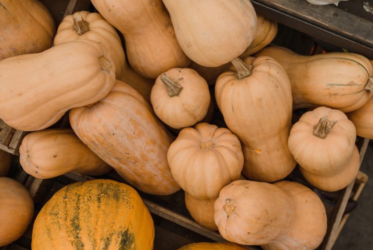 Conserver les courges tout l'hiver : Les 5 bons gestes